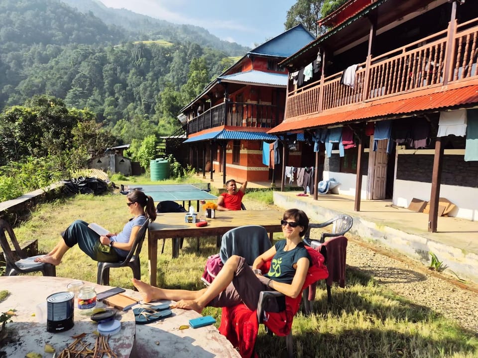 Day, Garden, group of guests, sunbed