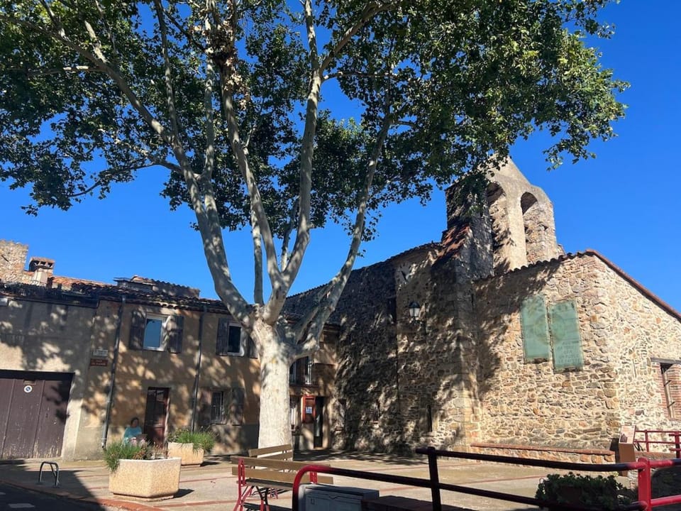 Classic Catalan village house House in Occitanie