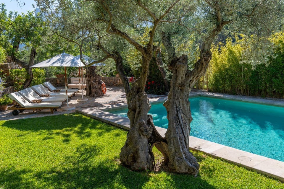 Garden, Garden view, Swimming pool