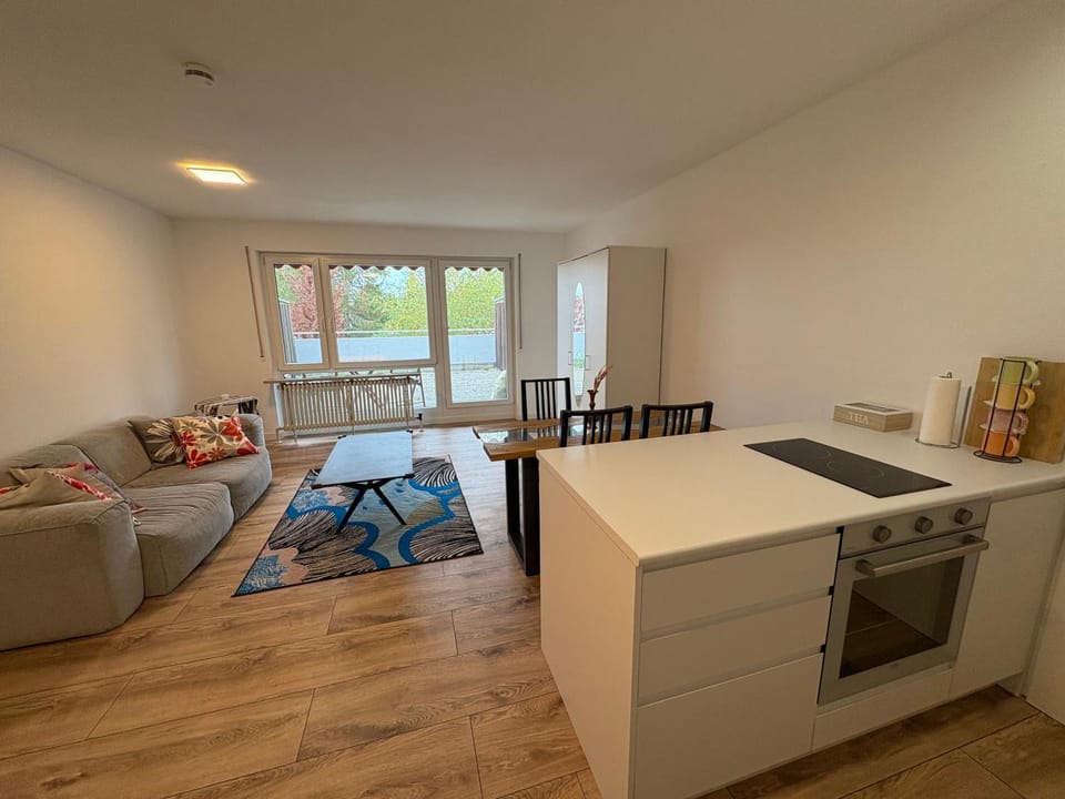 1 Single Big Room Apartment with Big Terrace, Kitchen, Sauna Apartment in Stuttgart