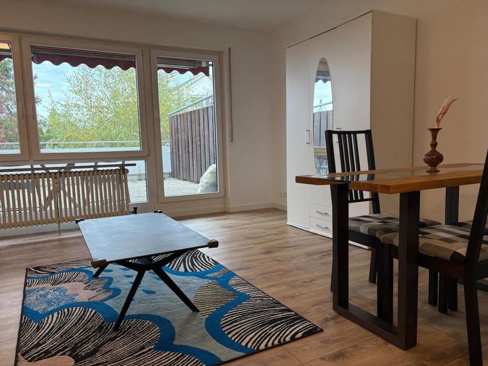 1 Single Big Room Apartment with Big Terrace, Kitchen, Sauna Apartment in Stuttgart