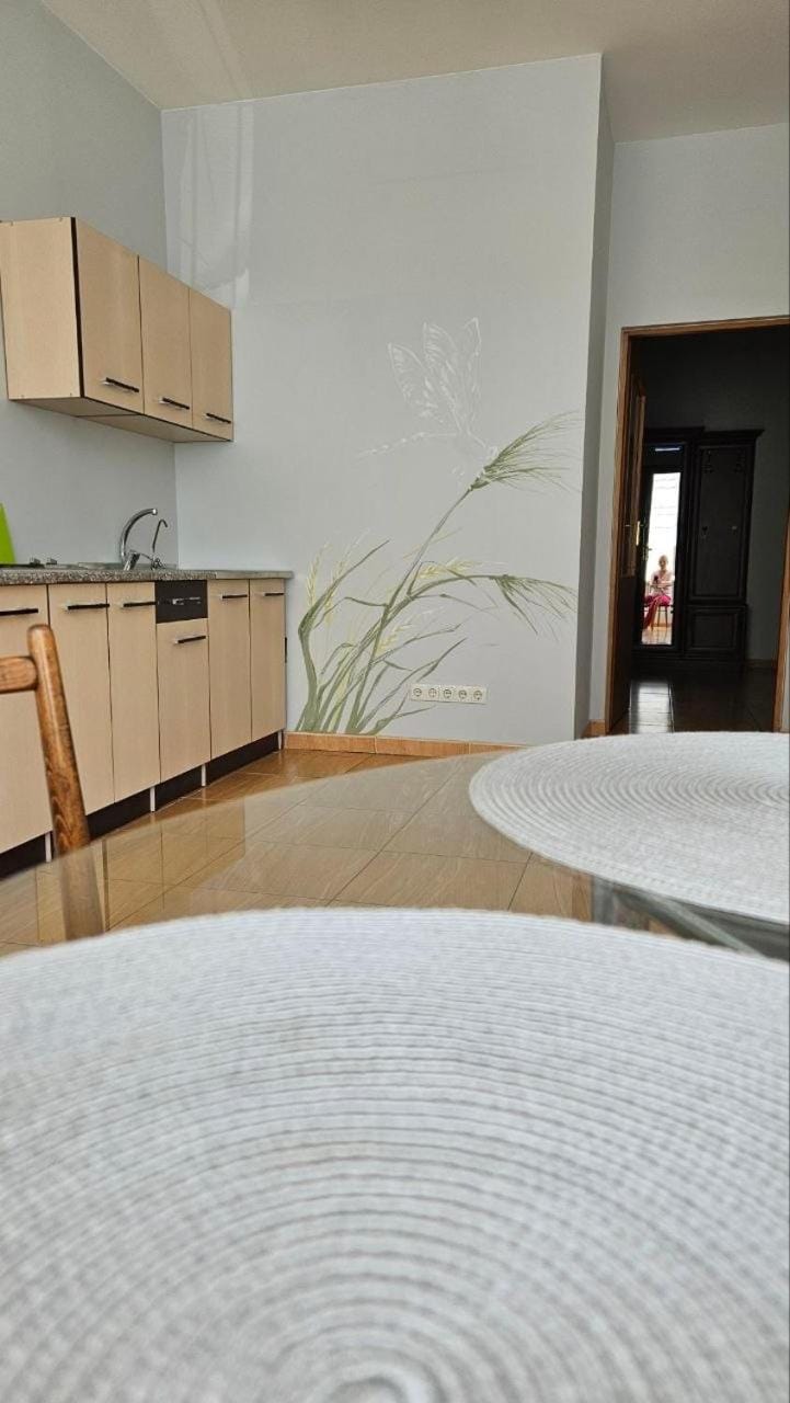 3комнатная квартира в 500 м от моря Apartment in Odessa