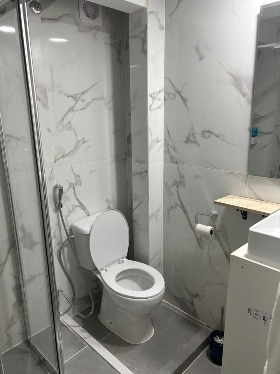 Shower, Toilet, Bathroom, bidet