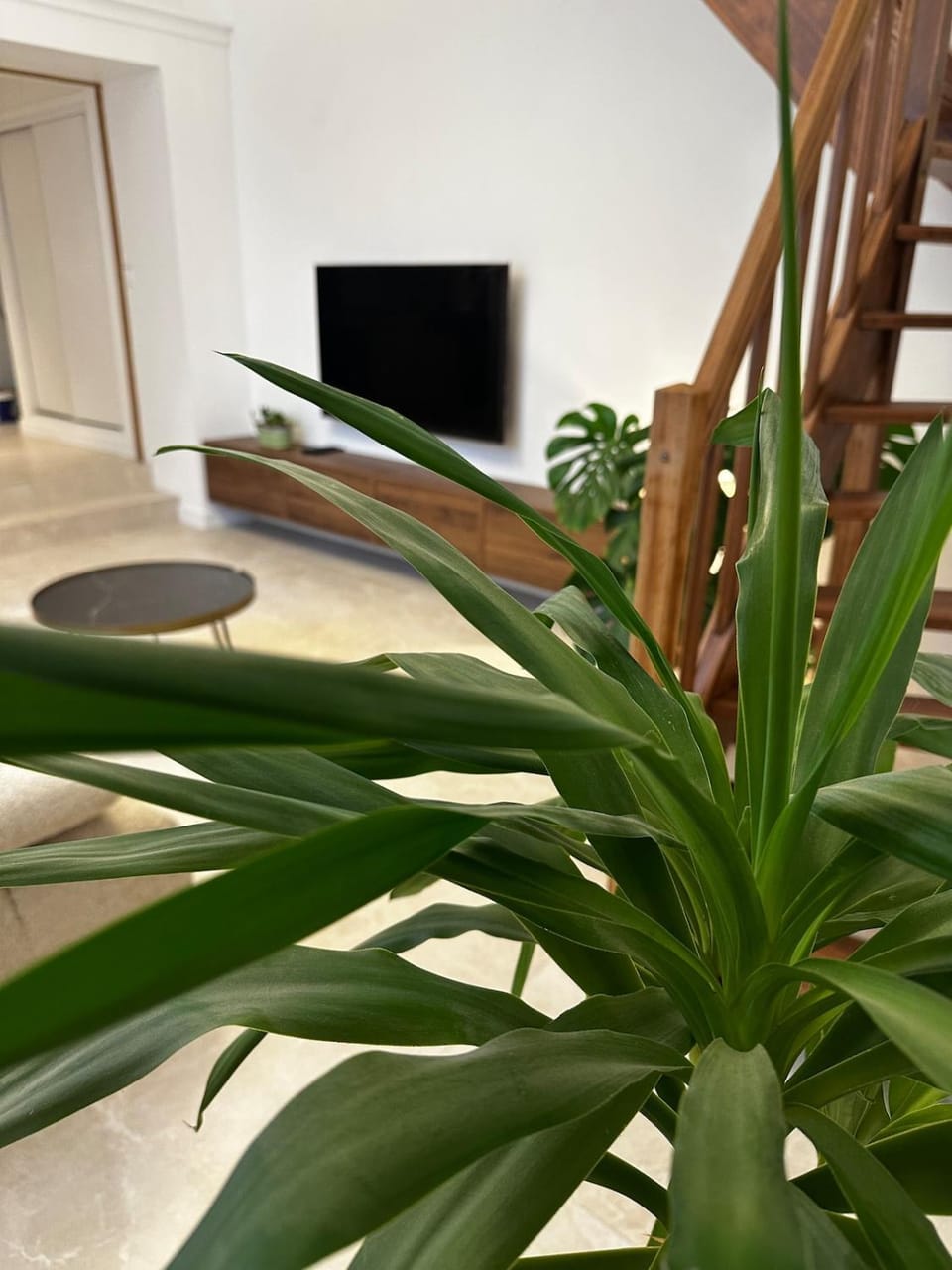Communal lounge/ TV room, TV and multimedia