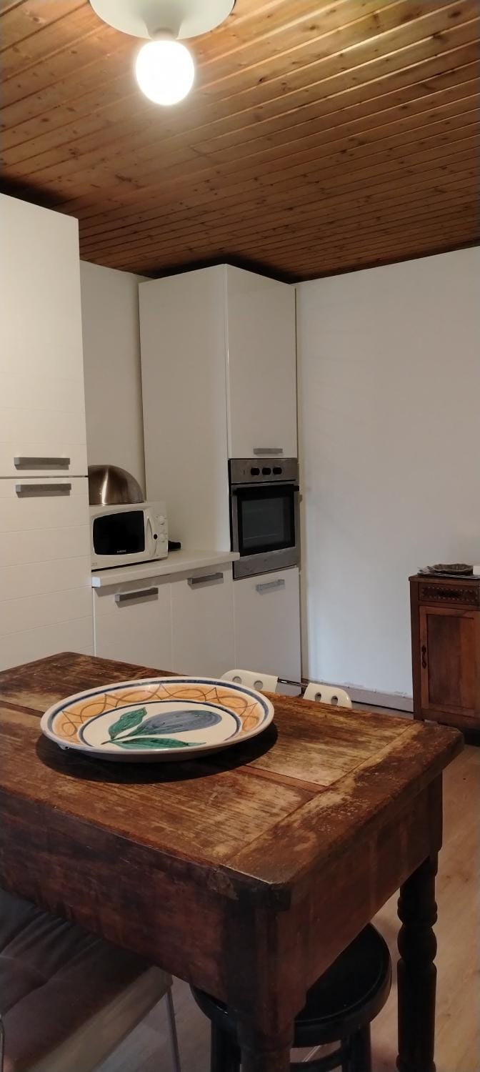 Kitchen or kitchenette, Dining area, oven
