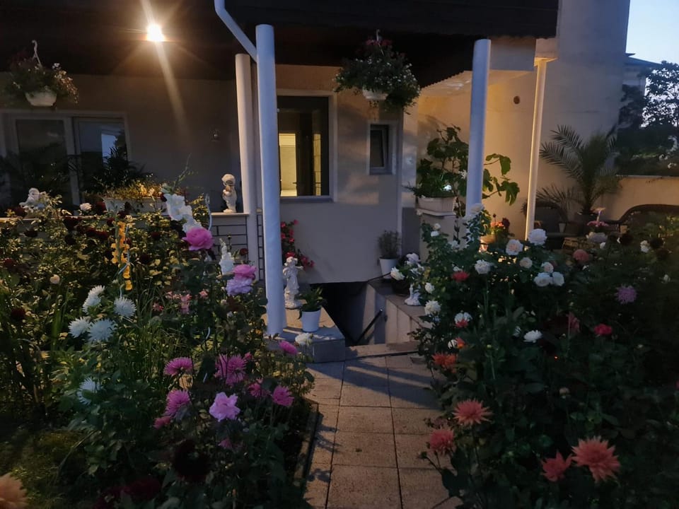Property building, Night, Garden, Garden view