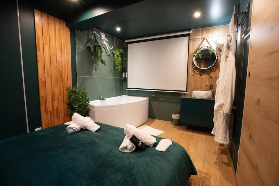 La Bulle d'Amour, romantic suite, city center Apartment in Centre-Val de Loire