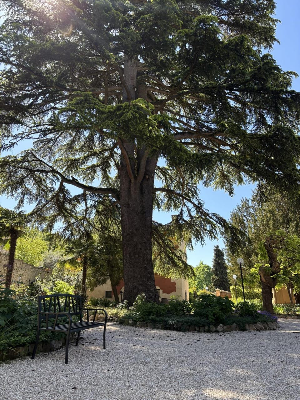 Garden, Garden view