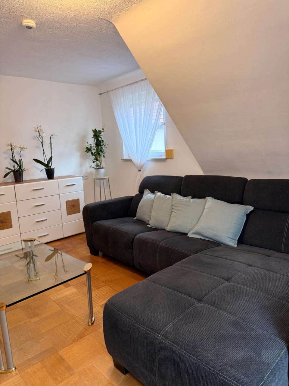 Ferienwohnung Schwarzwald Auszeit Apartment in Offenburg