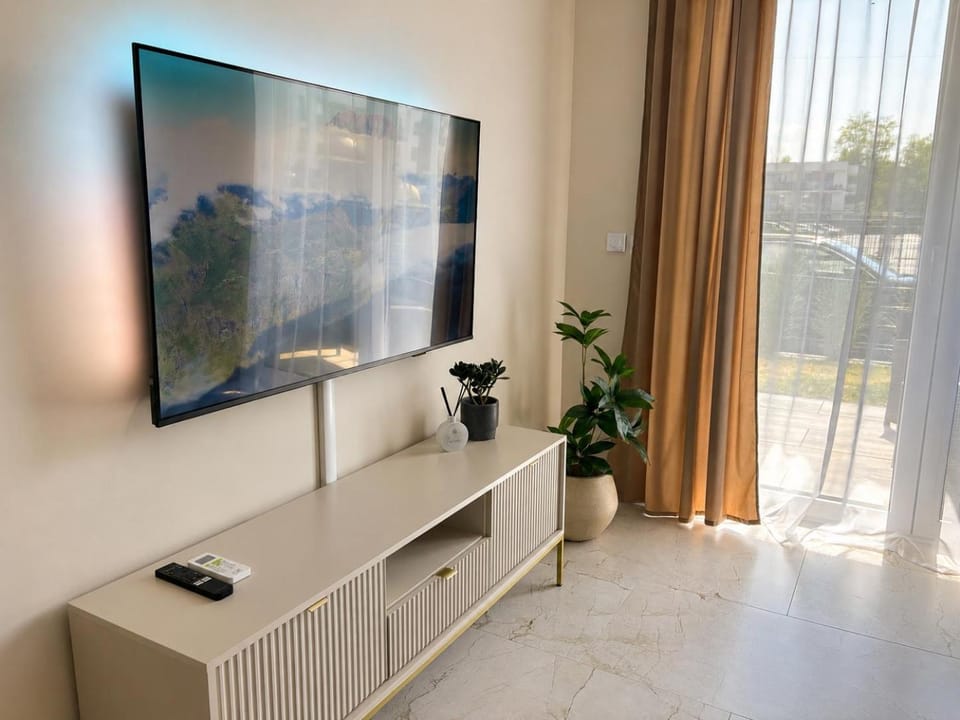 TV and multimedia
