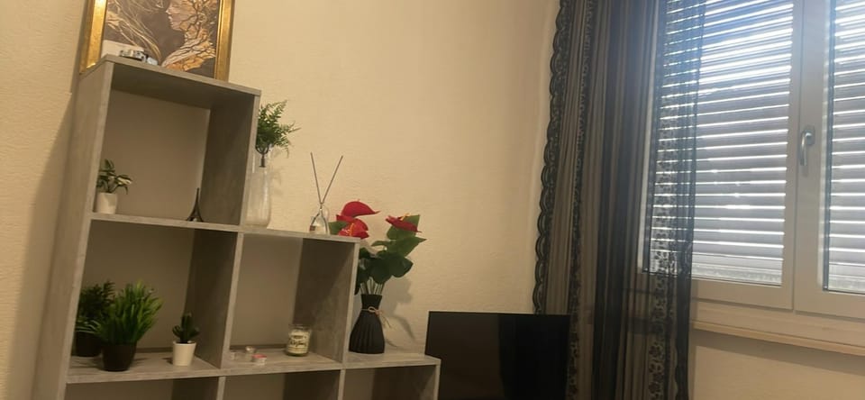Privat Apartment in Geneva
