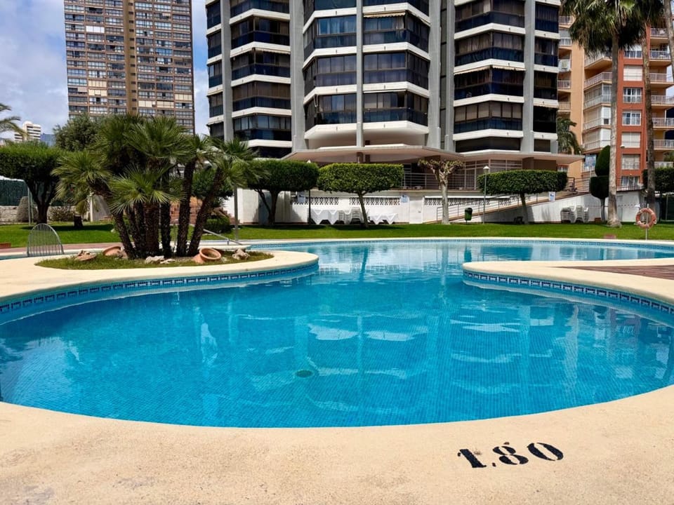 Swimming pool, Swimming pool, sunbed