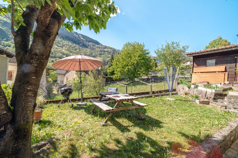 Spring, Day, Natural landscape, Garden, Garden view, Mountain view, sunbed