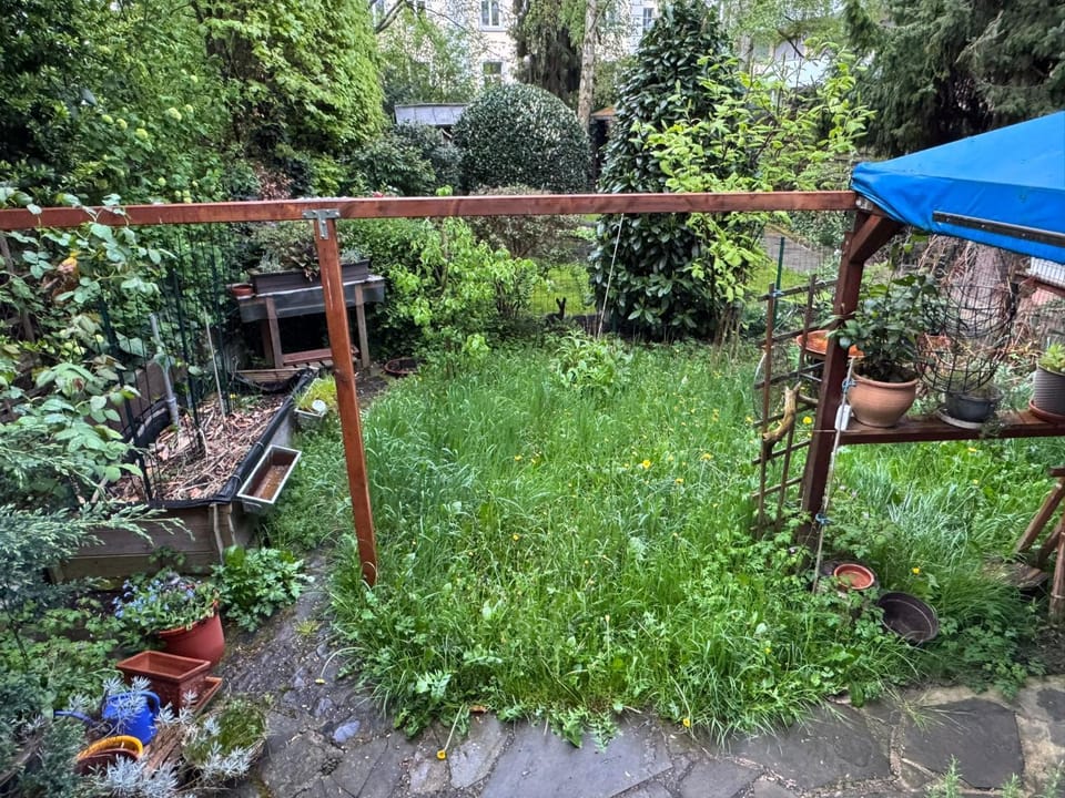 Elegant Apartment with Garden Access-Bonn Apartment in Bonn