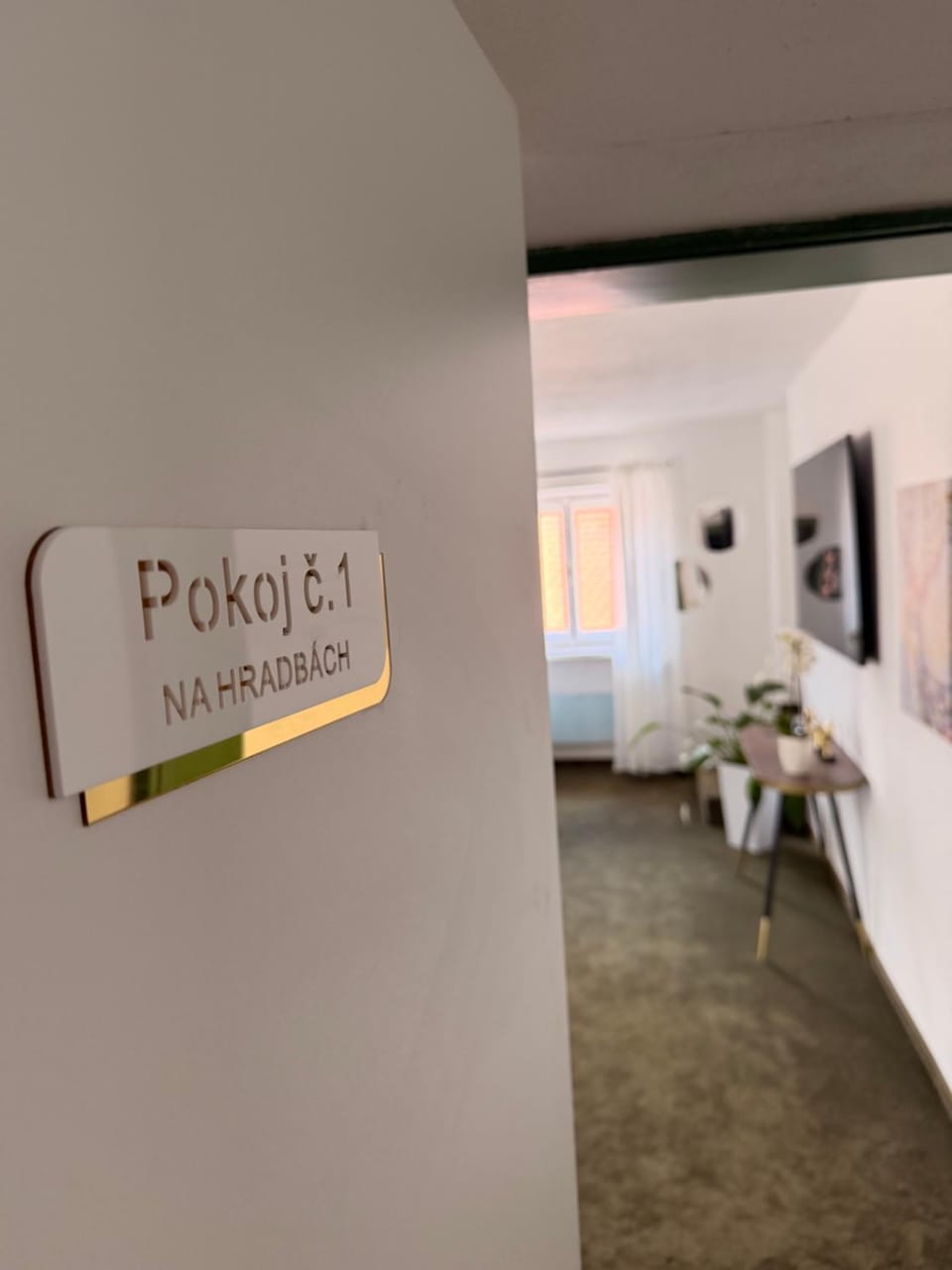 Na Hradbách Apartment in South Bohemian Region