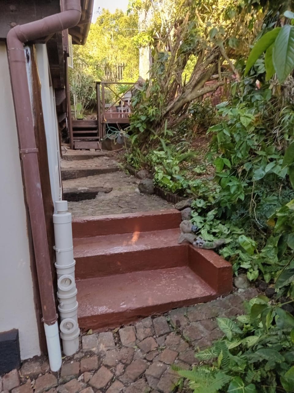 Treehouse Bed and Breakfast in Eastern Cape
