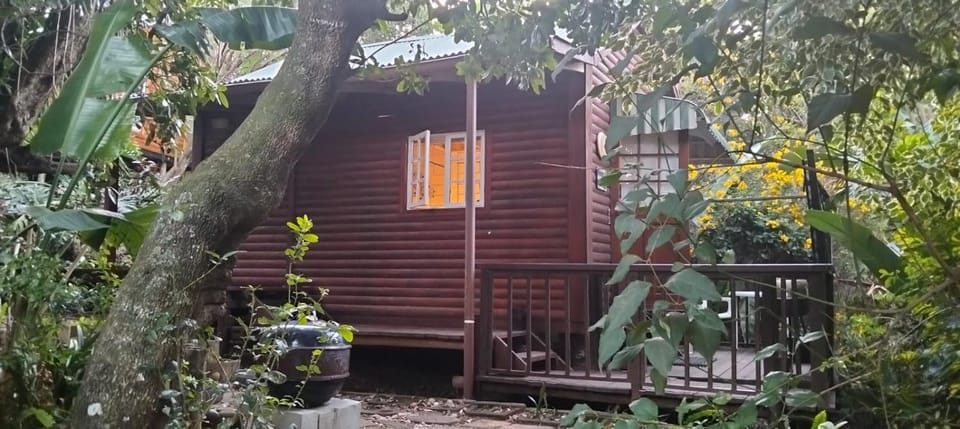 Treehouse Bed and Breakfast in Eastern Cape