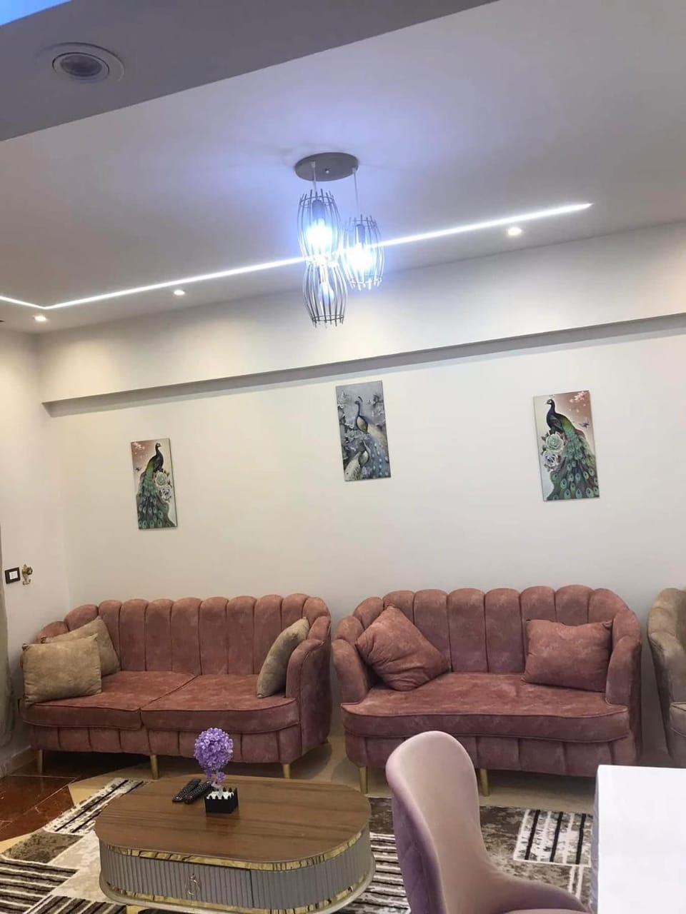 شقة مفروشة للايجار كمبوند روضة زايد Apartment in Egypt