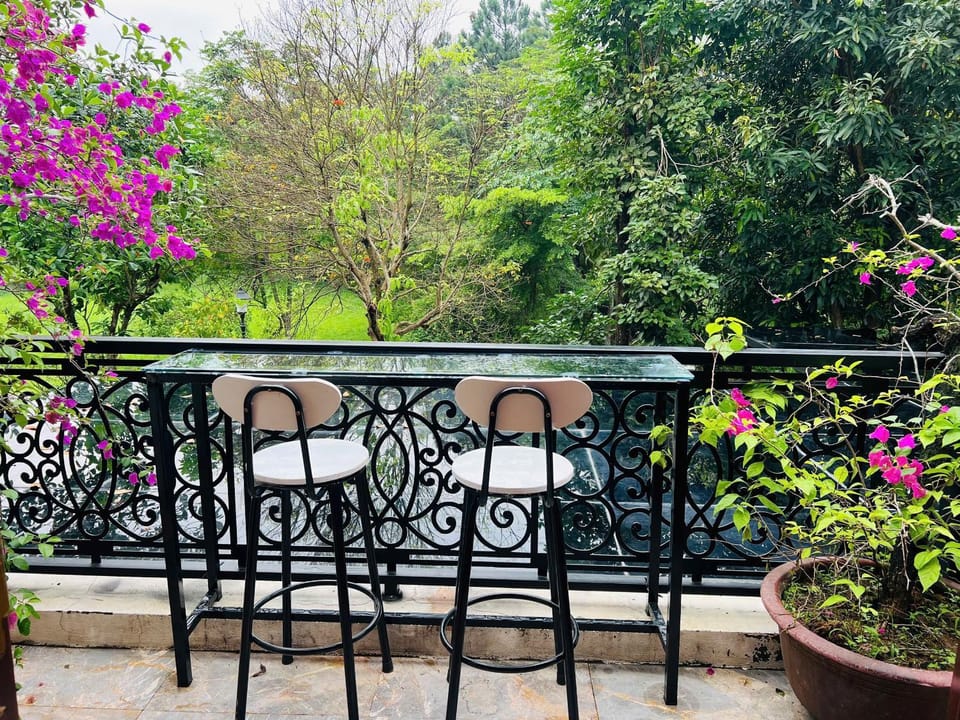 Garden, Balcony/Terrace