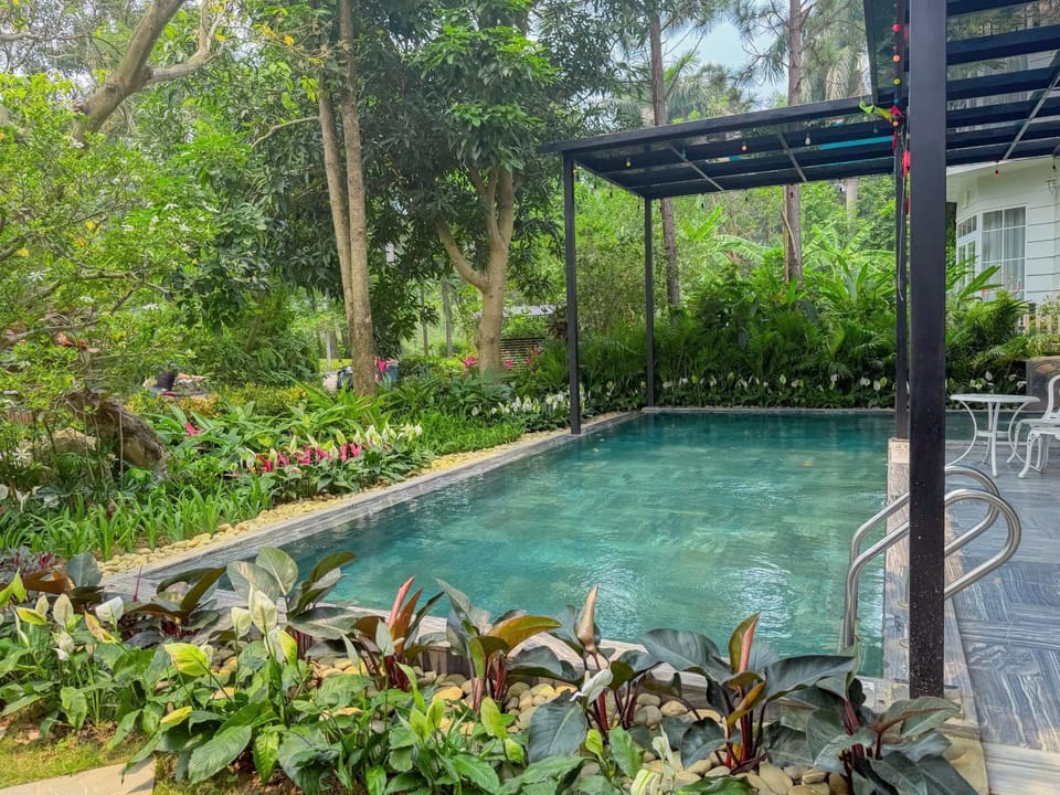 Garden, Swimming pool