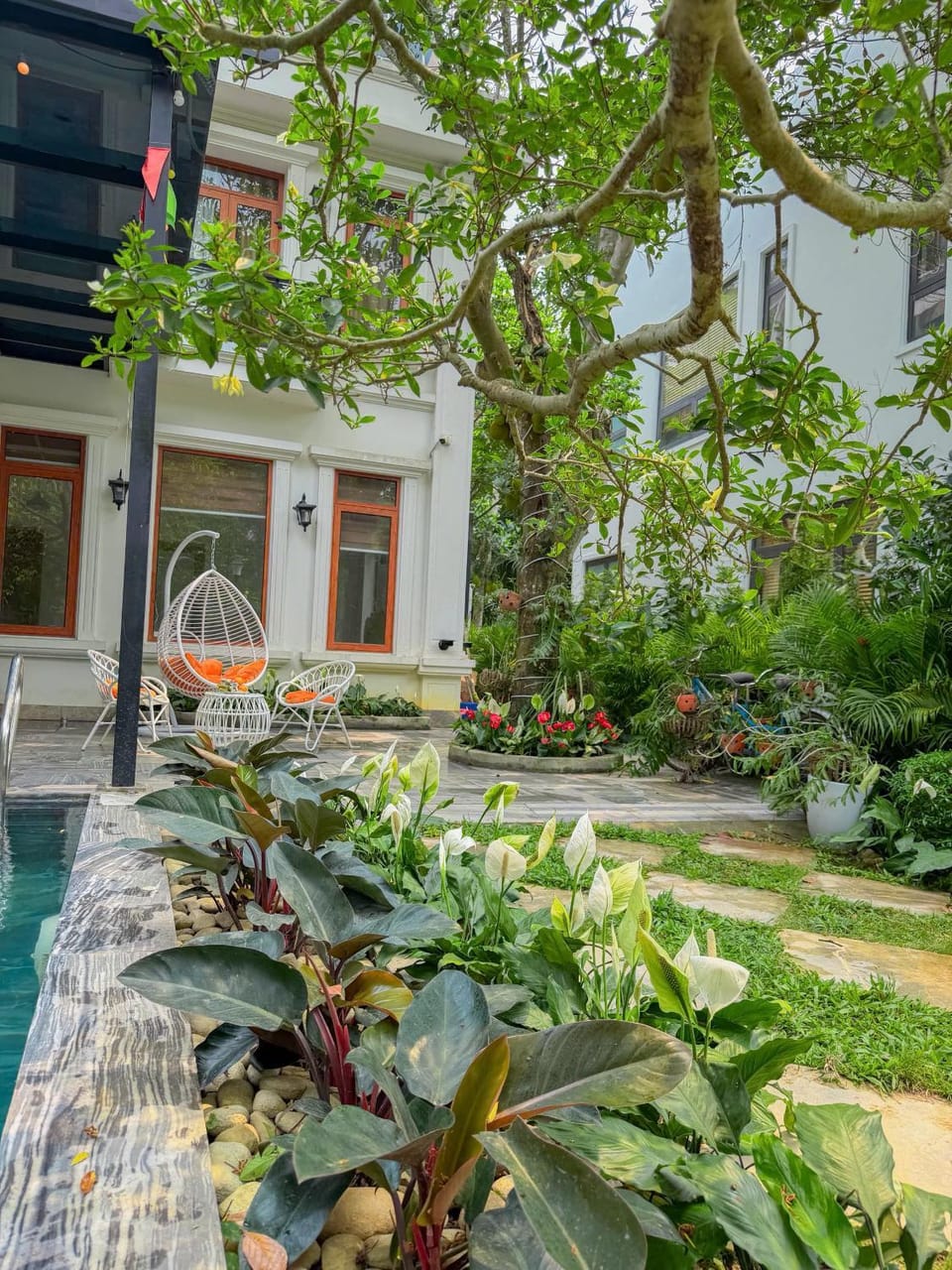 Patio, Garden