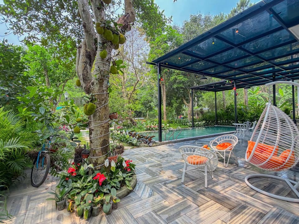 Patio, Garden