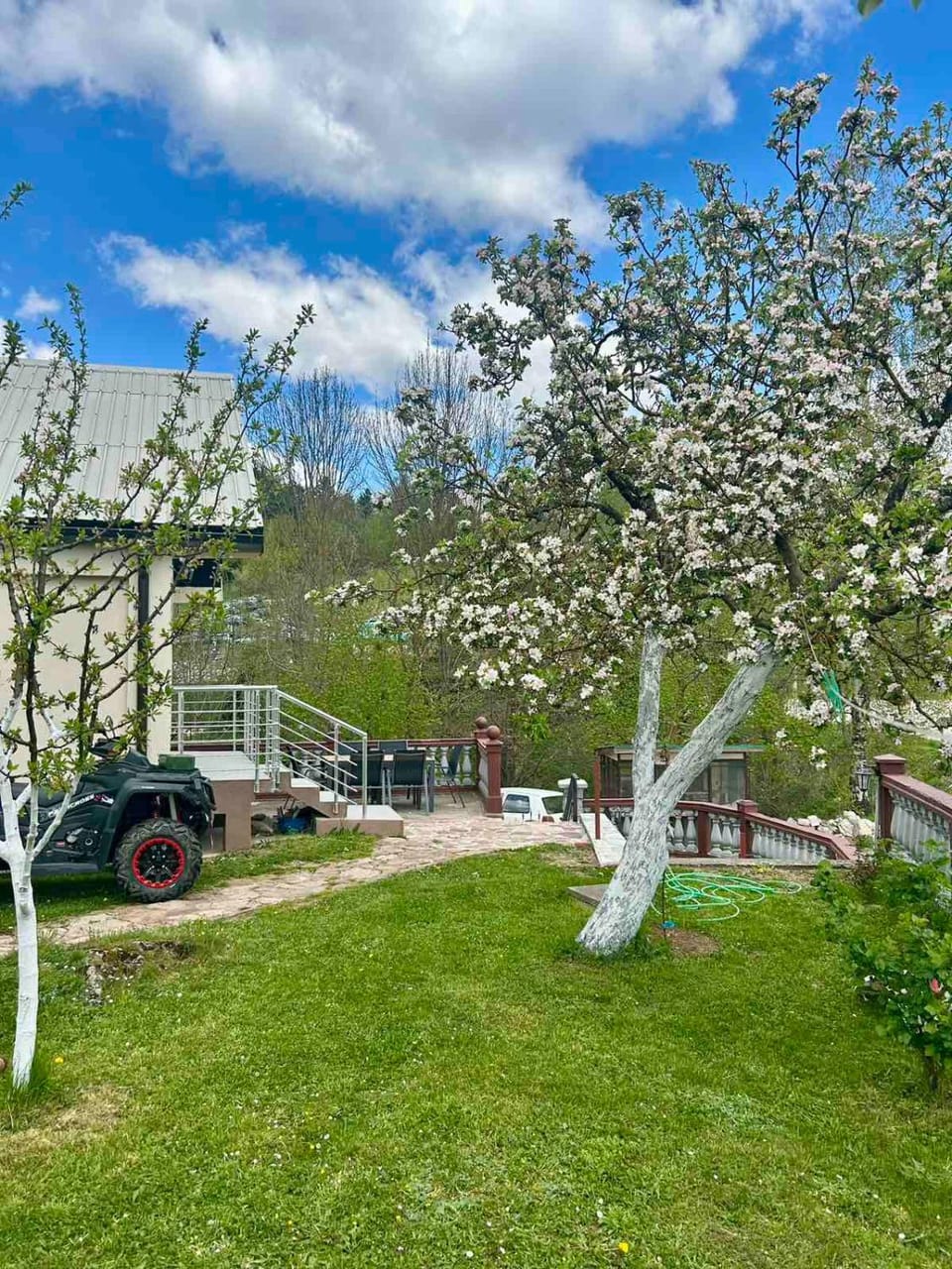 Garden view