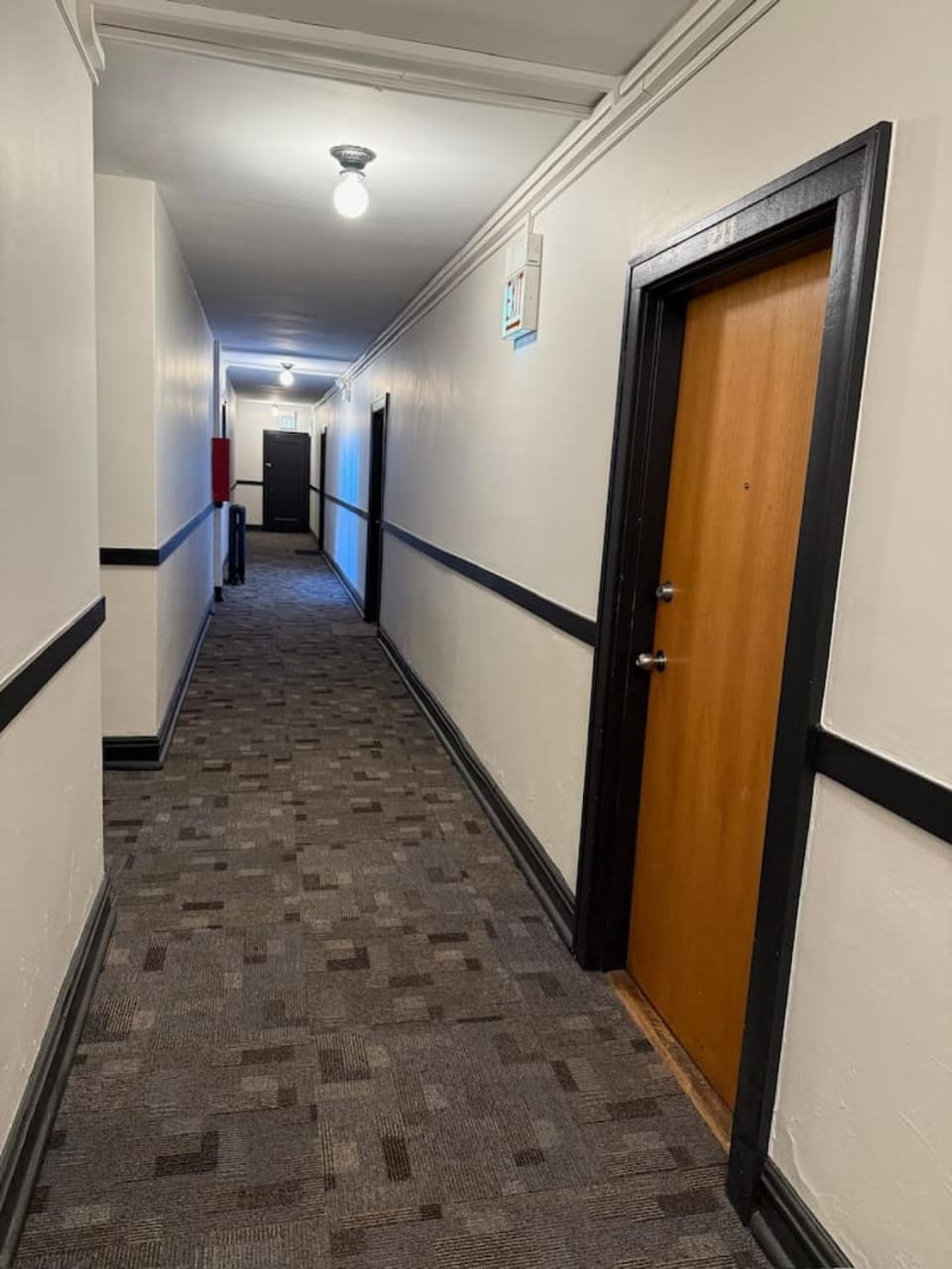 Large 2 Room Studio - Great Transportation Apartment in Chicago