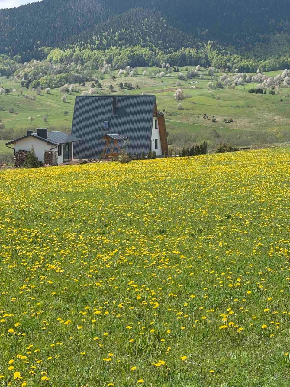 Spring, Day, Natural landscape, Mountain view