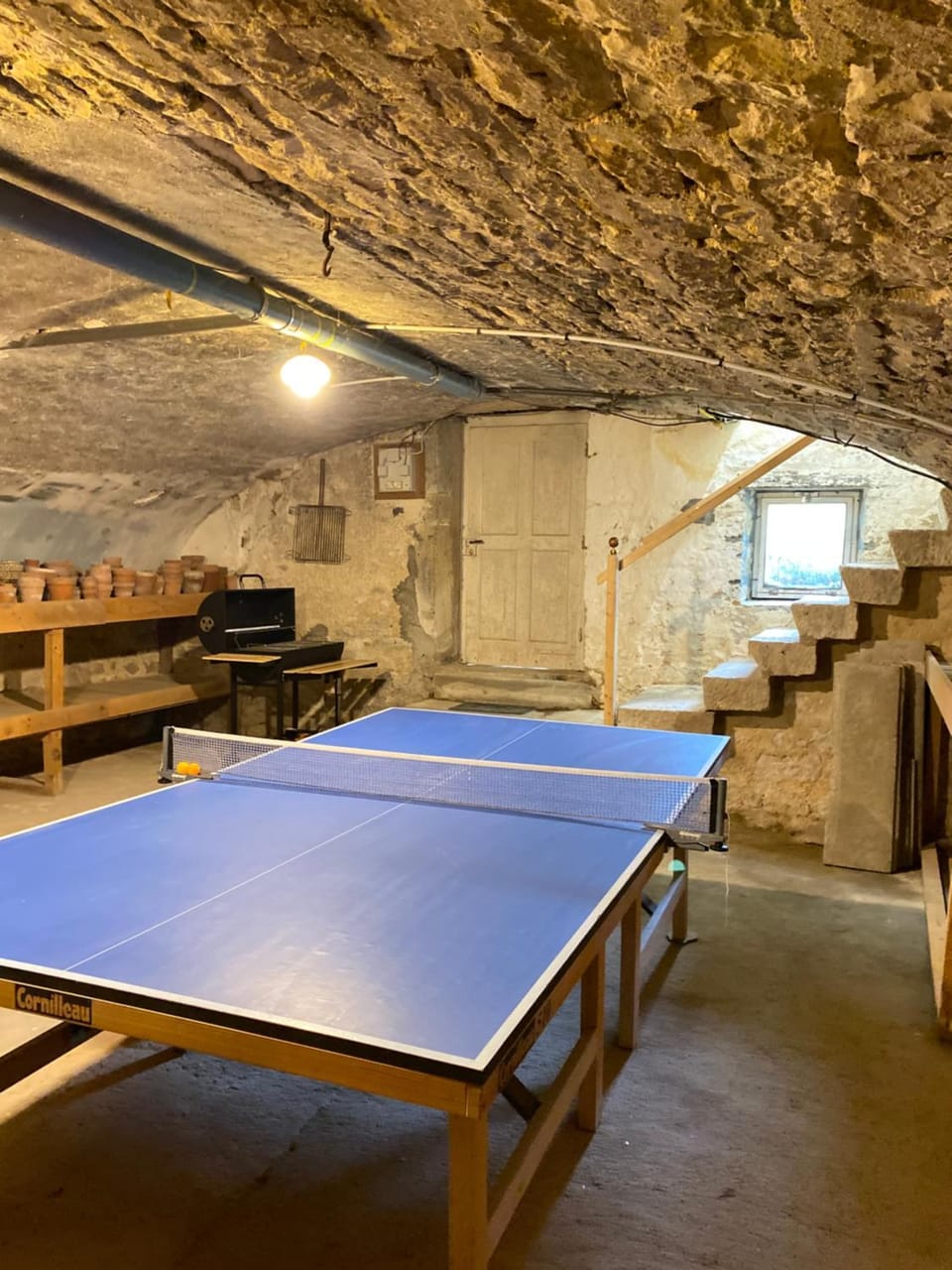 Garden, Table tennis