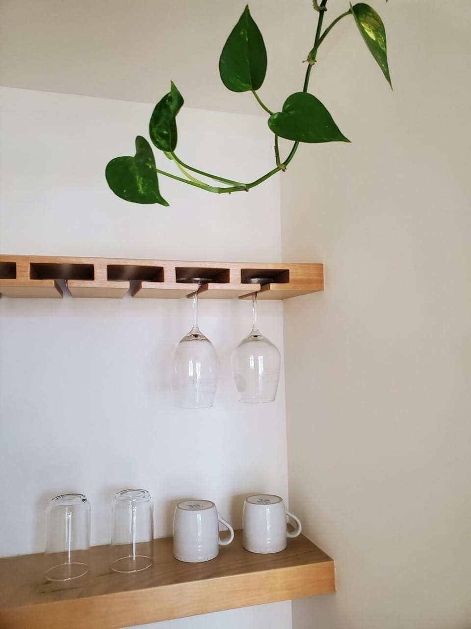Pitaya Guest Suite Apartment in Baja California Sur