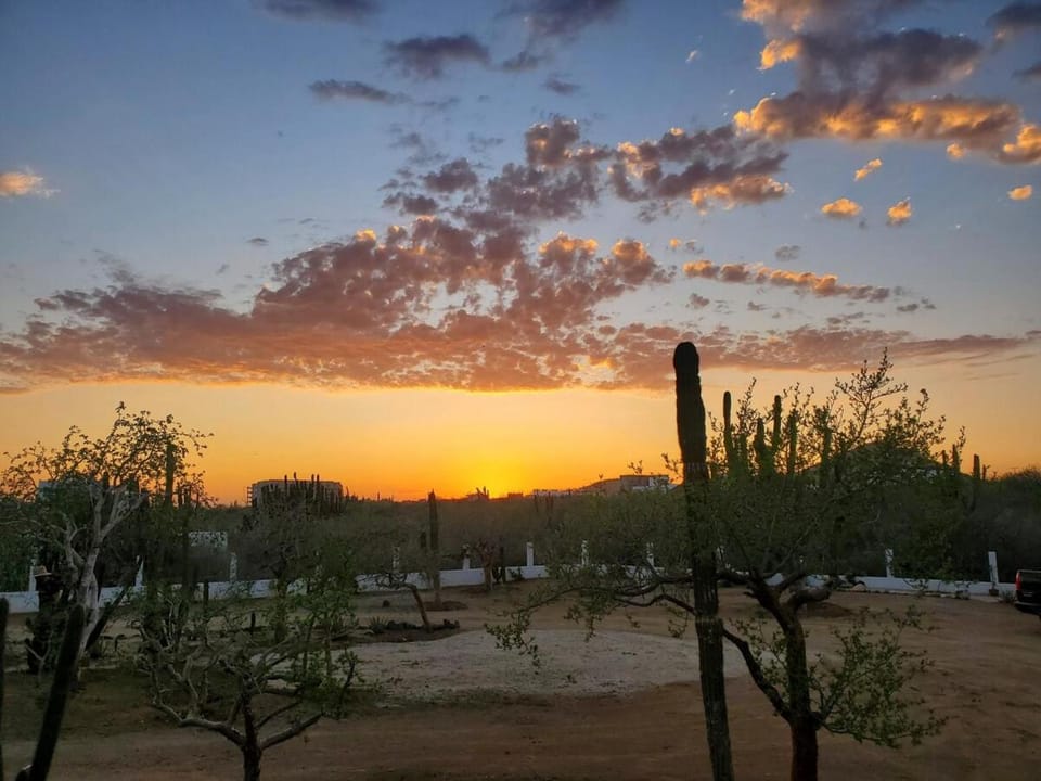 Pitaya Guest Suite Apartment in Baja California Sur