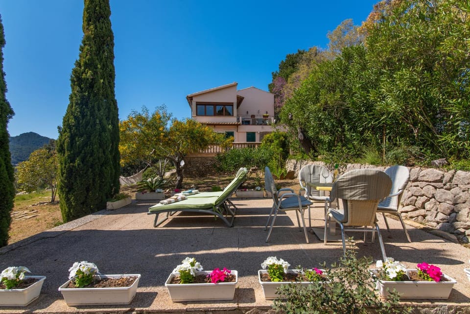 Spring, Garden view, sunbed
