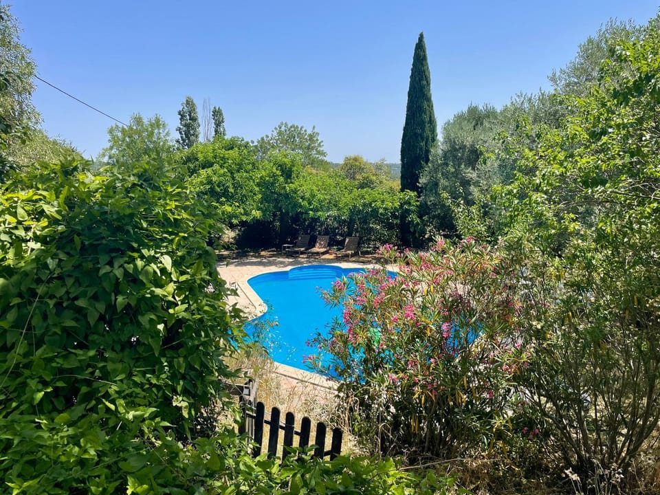 Natural landscape, Garden, Garden view, Swimming pool