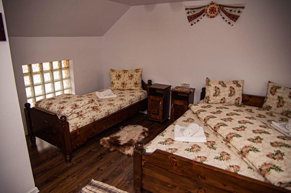 Casa Iancu Jina Country House in Romania