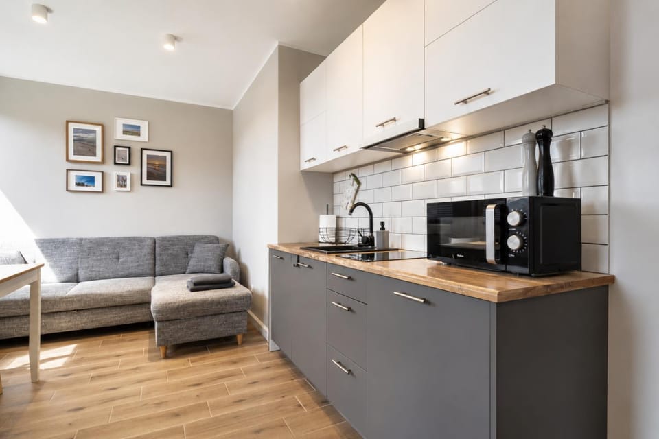 Kitchen or kitchenette, Living room, microwave, stove