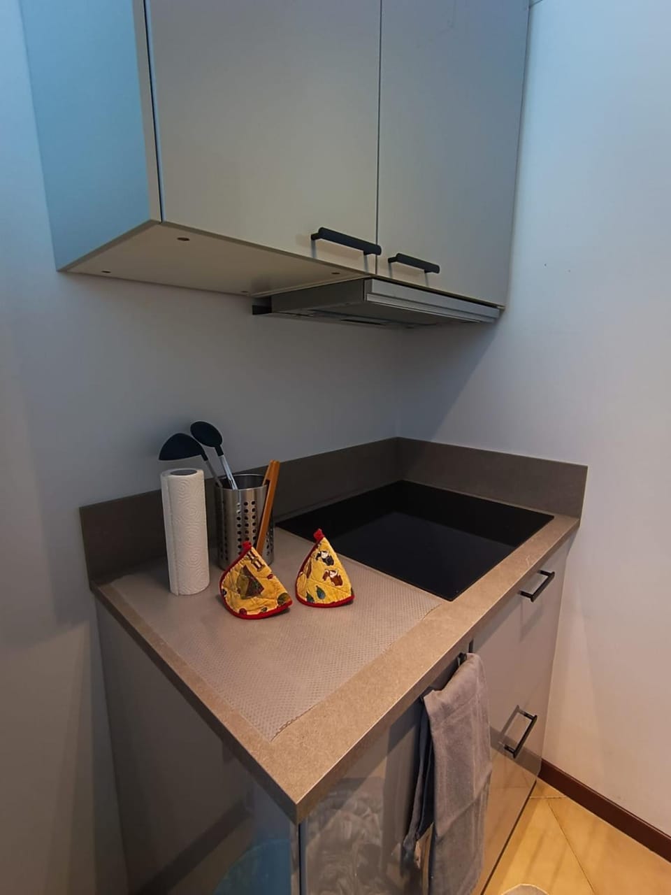 Coffee/tea facilities, Kitchen or kitchenette, Food and drinks, Food, minibar, stove