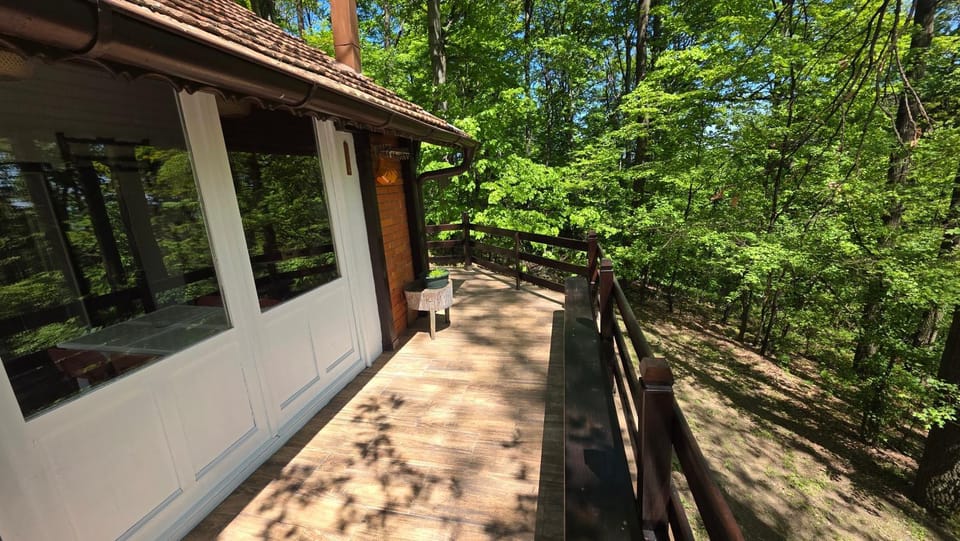 Forest House Bukulja House in Serbia