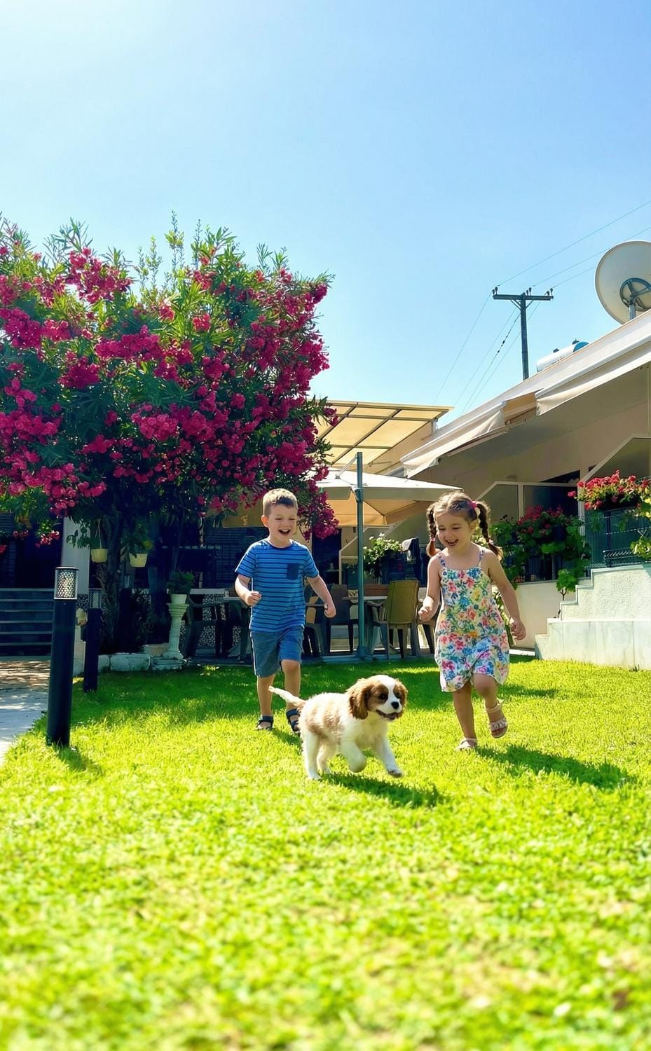 Garden, Pets, children