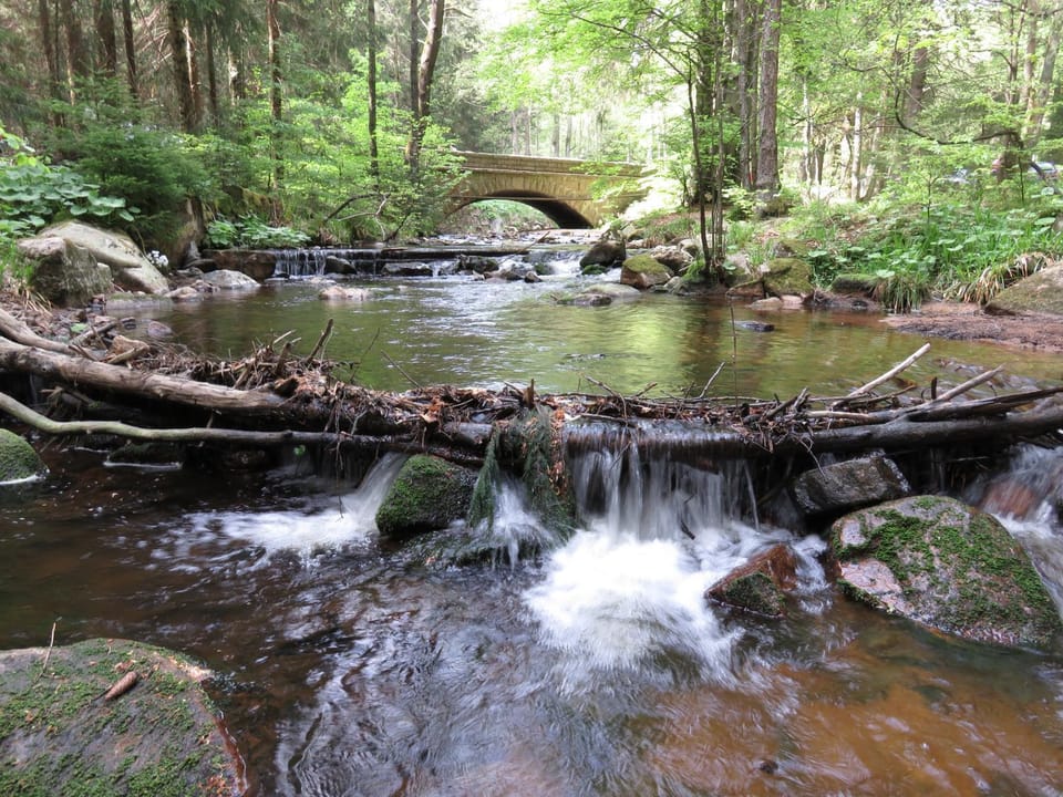 Natural landscape