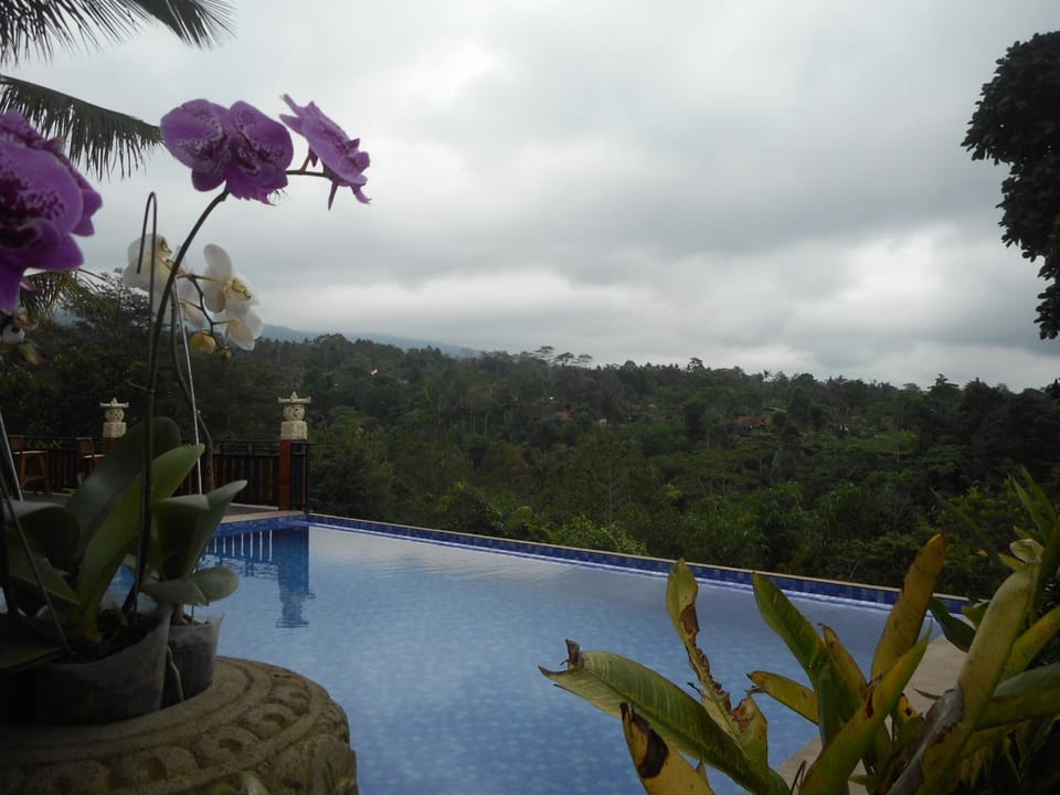 Artala Villas Besakih Villa in Selat
