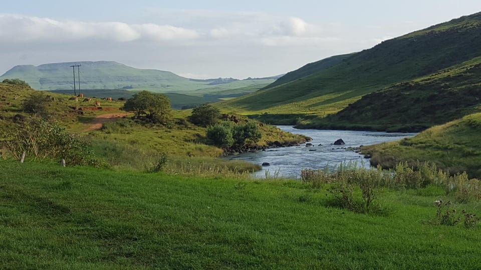 Natural landscape, Natural landscape