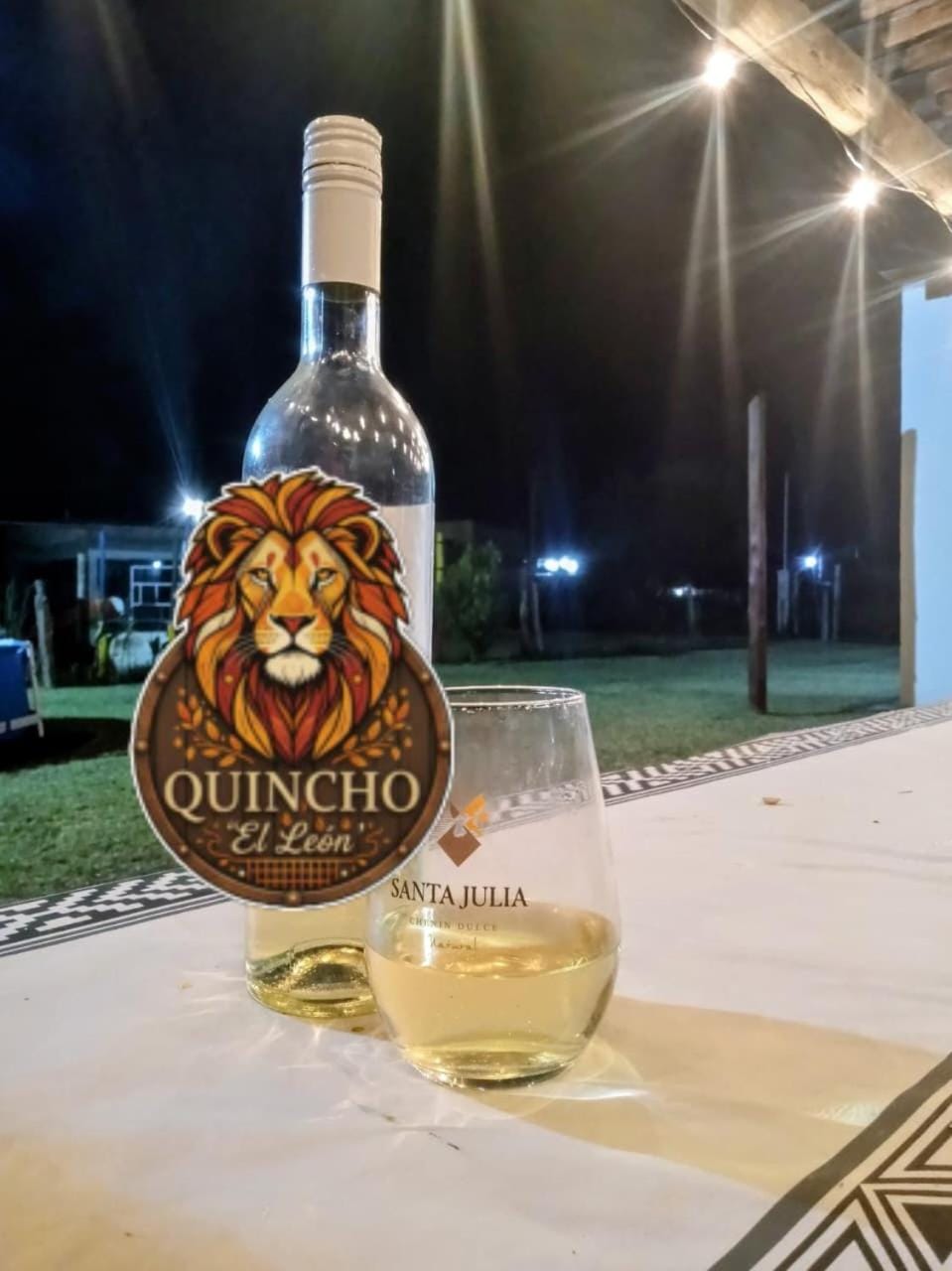 Quincho El Leon House in Villa Mercedes