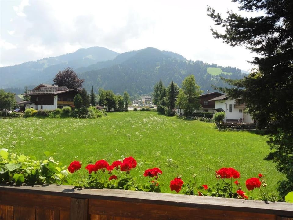 App. Fam. Dr. Goldberger Apartment in Salzburgerland