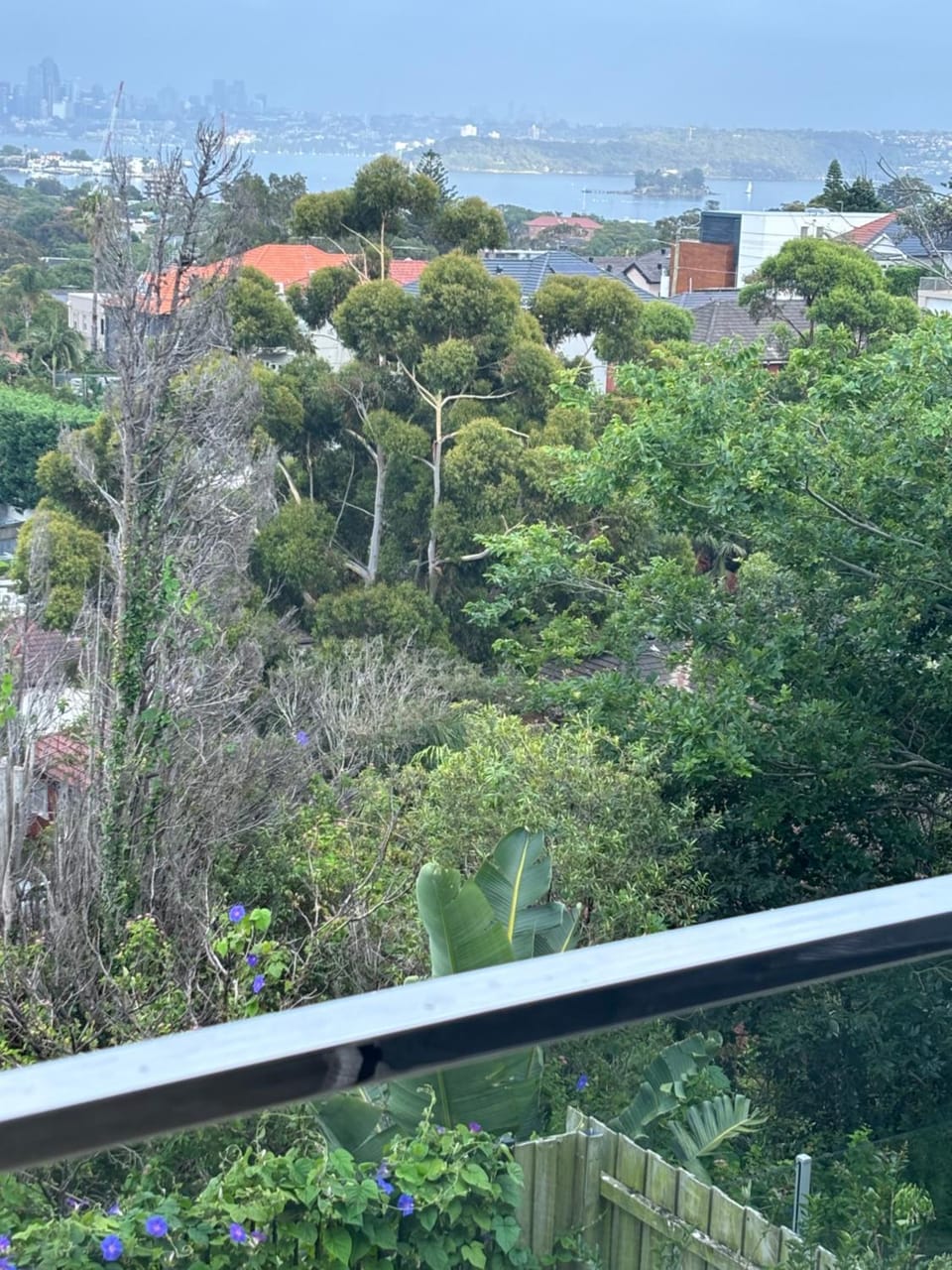 Sydney Harbour Bridge View Luxury Sunset Retreat House in Sydney