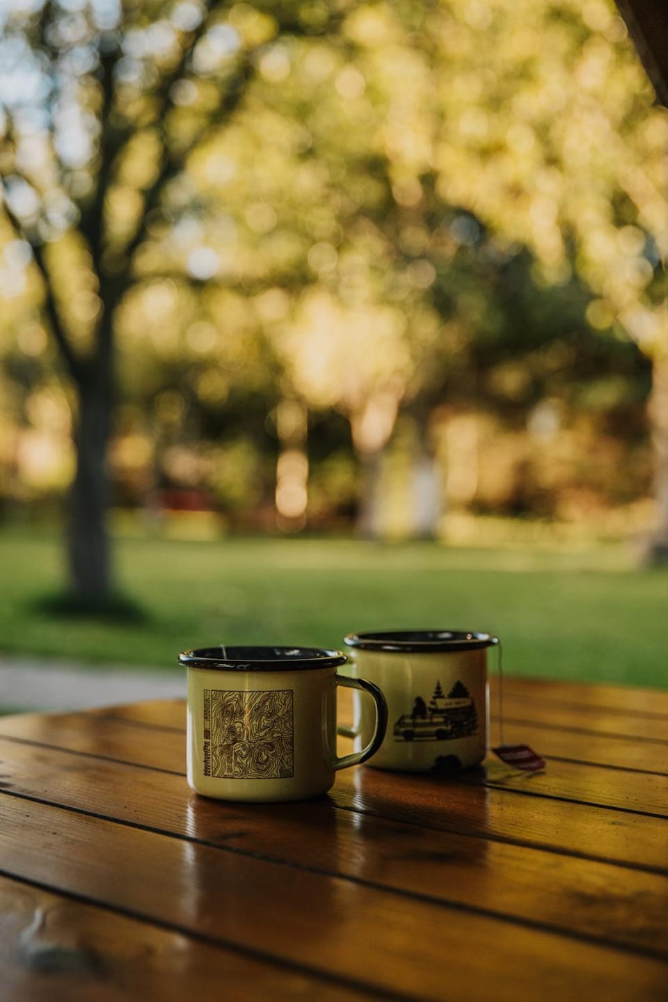 Day, Natural landscape, Garden, Garden view