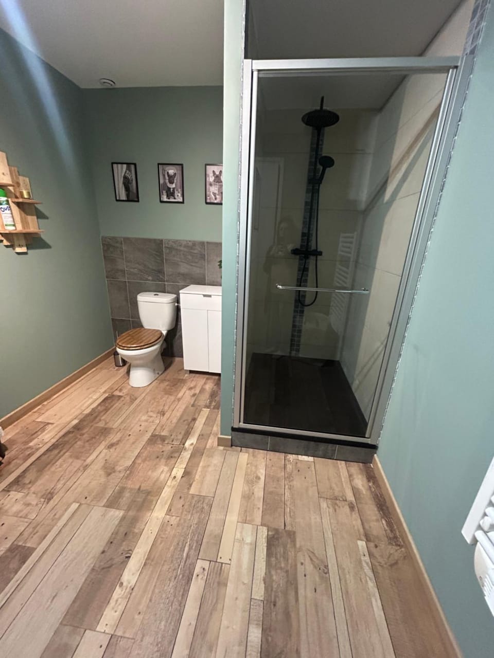 Shower, Toilet