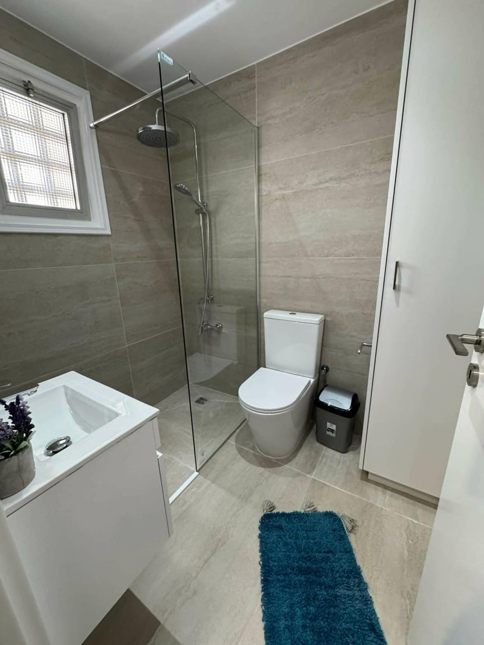 Shower, Toilet