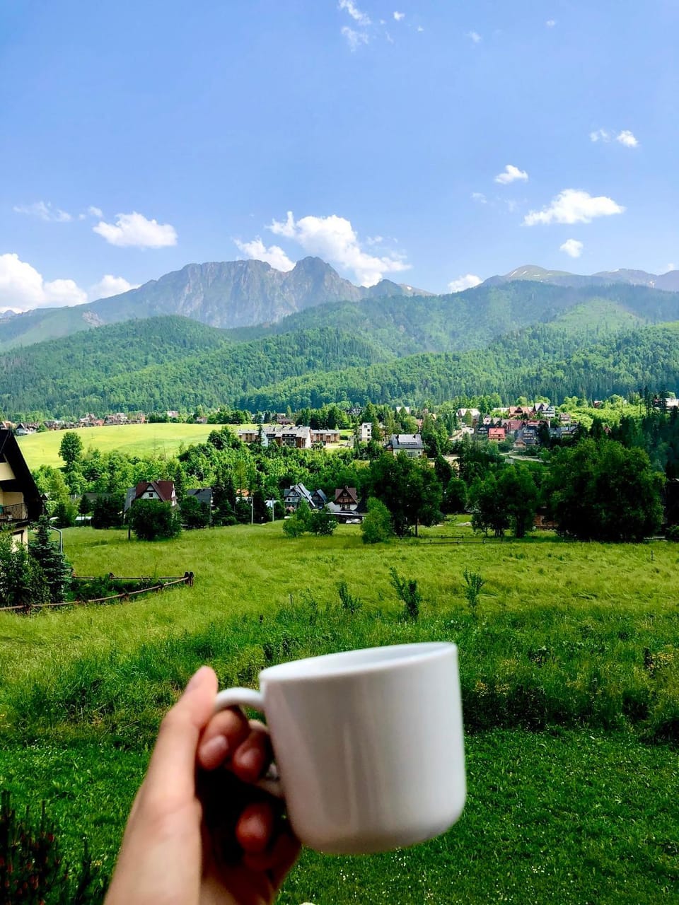 Mountain view