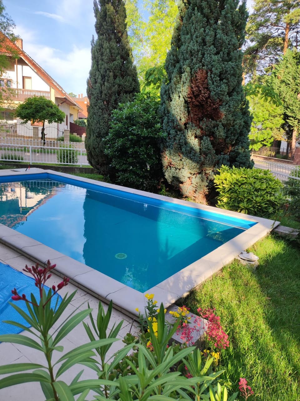 Garden, Swimming pool